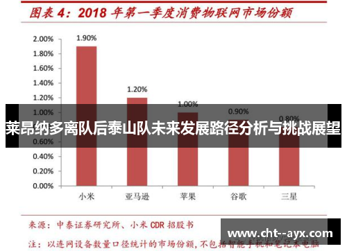 莱昂纳多离队后泰山队未来发展路径分析与挑战展望
