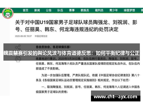 魏震禁赛引发的舆论风波与体育道德反思：如何平衡纪律与公正